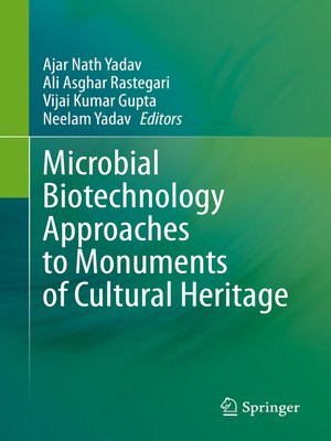cover image of Microbial Biotechnology Approaches to Monuments of Cultural Heritage